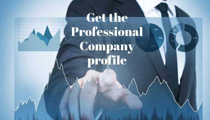 Get the Professional Company profile
