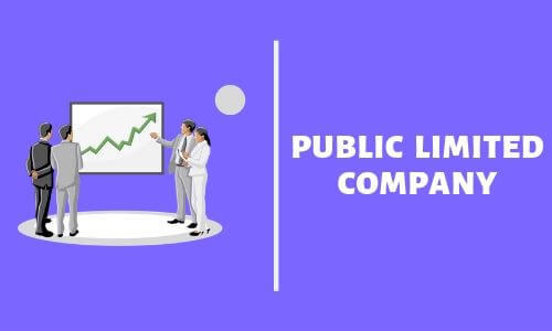 Public Limited Company Procedure Required Documents Advantages