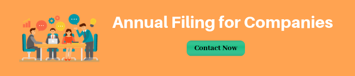 Annual Filing for Companies 