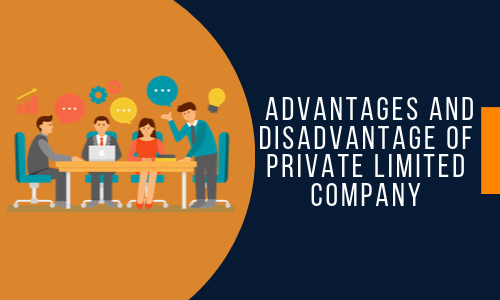 Advantages and disadvantage of Private Company