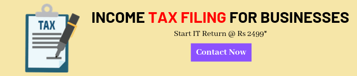 Income Tax Filing for Businesses