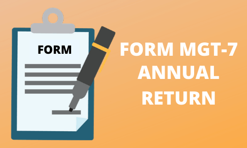 Form MGT-7 Annual Return