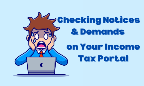 Income Tax Portal