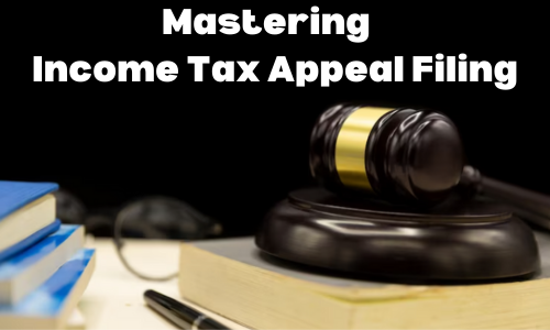 Income Tax Appeal Filing