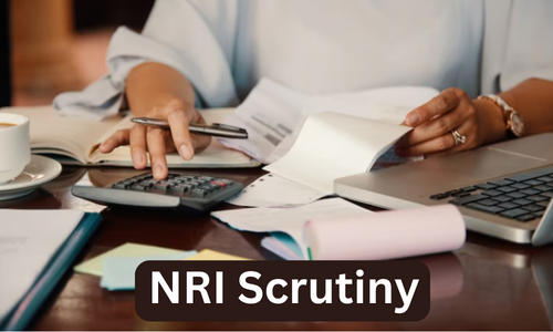 Understanding NRI Scrutiny