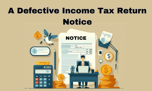 Defective Income Tax Return Notice