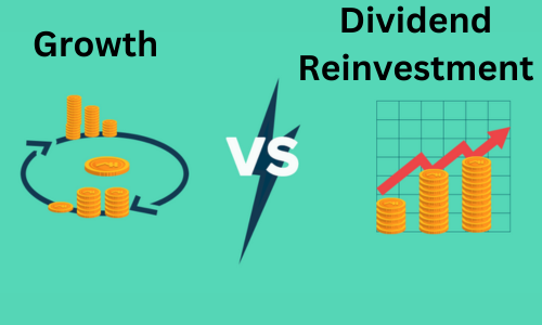 Growth vs Dividend Reinvestment